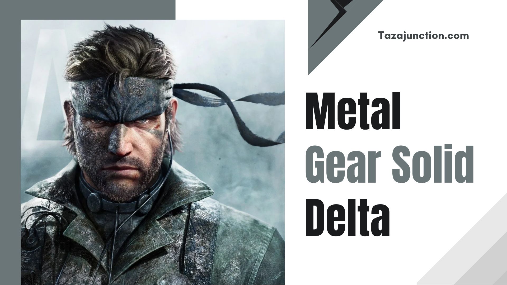 metal gear solid delta