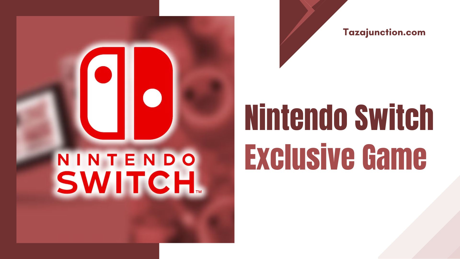 nintendo switch exclusive game