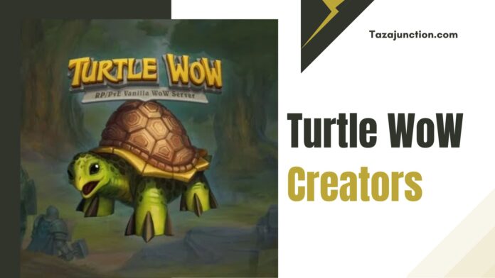 turtle wow creators
